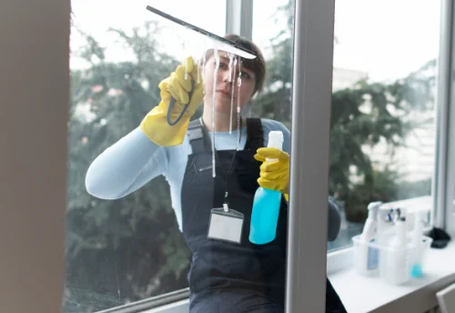 Nettoyage de vitres intérieures et extérieures à Veaugues